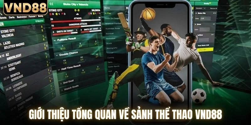 Giới thiệu tổng quan về sảnh thể thao VND88