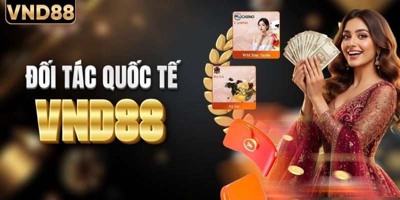 Hợp tác chính thức với nhiều đối tác quốc tế uy tín