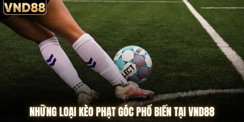 Những loại kèo phạt góc phổ biến tại VND88
