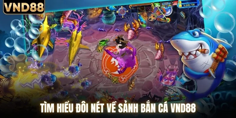 Tìm hiểu đôi nét về sảnh bắn cá VND88