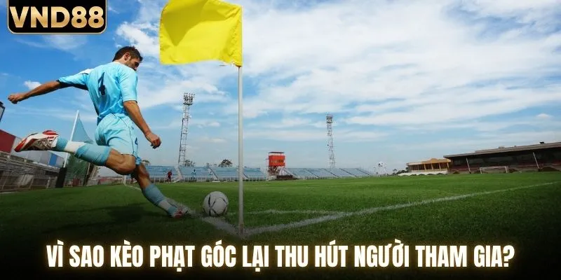 Vì sao kèo phạt góc lại thu hút người tham gia?