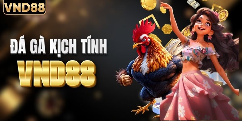 Xanh chín với các kèo đá gà kịch tính trực tiếp